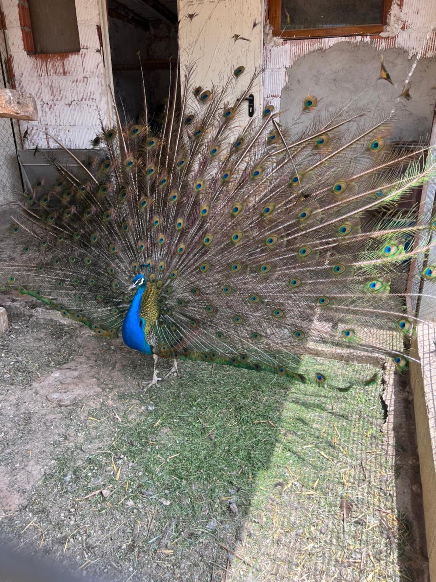 El Burgo De Osma Alojamiento Rural Villa Bagh 外观 照片