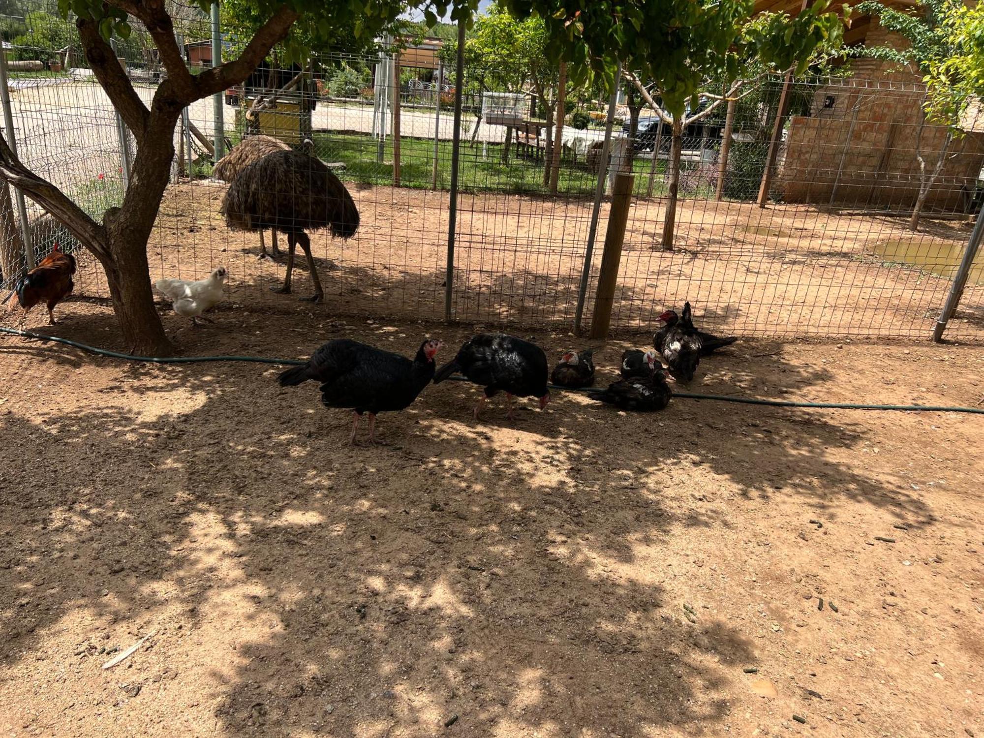 El Burgo De Osma Alojamiento Rural Villa Bagh 外观 照片